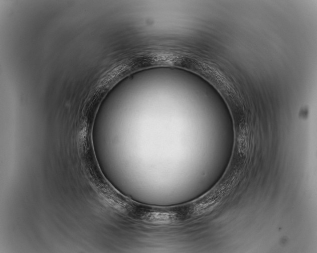 X0000100960314200807011339
