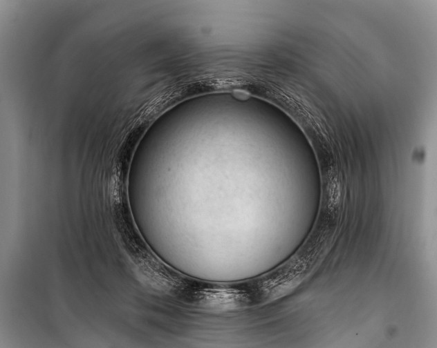 X0000100960316200807011339