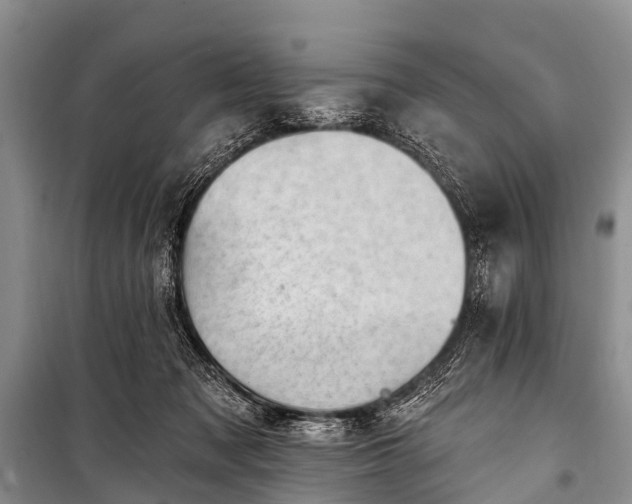 X0000100960317200807011339