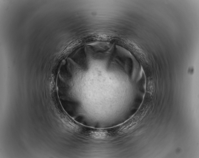 X0000100960318200807011338