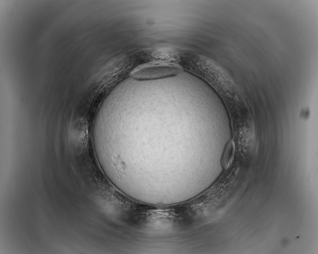 X0000100960320200807011338