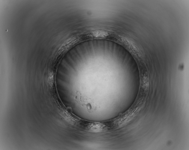 X0000100960321200807011338