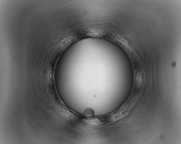 X0000100960322200807011338
