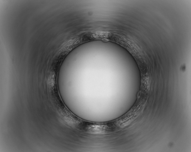 X0000100960323200807011338