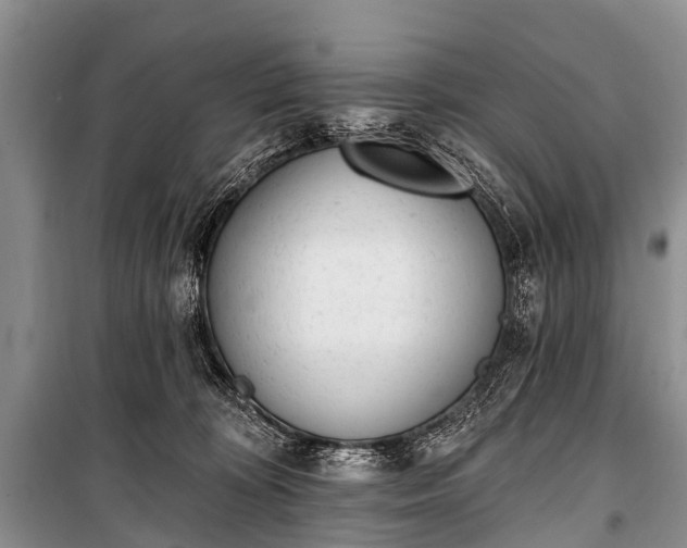 X0000100960324200807011338