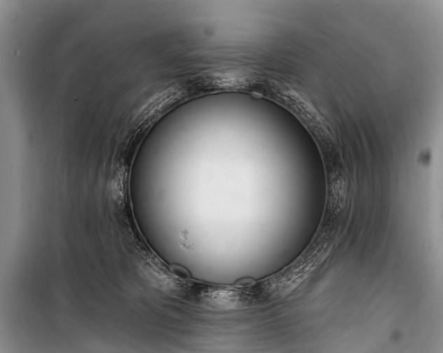 X0000100960325200807011338