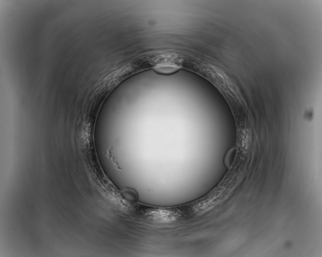 X0000100960326200807011338