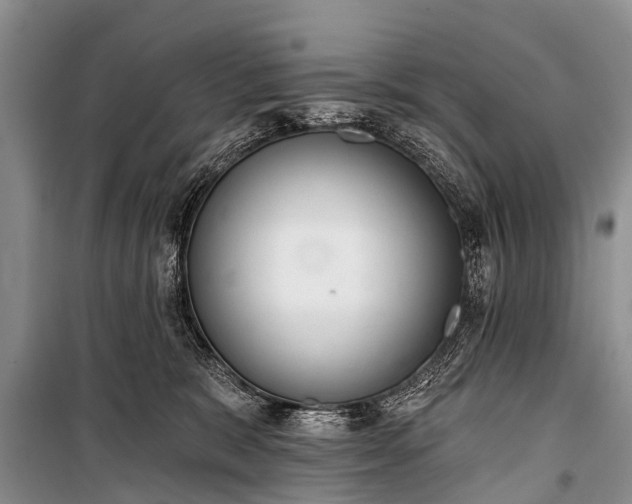 X0000100960327200807011338