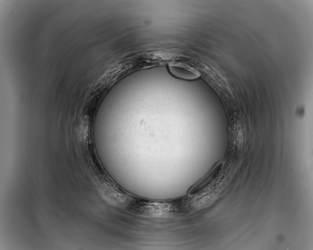 X0000100960328200807011338