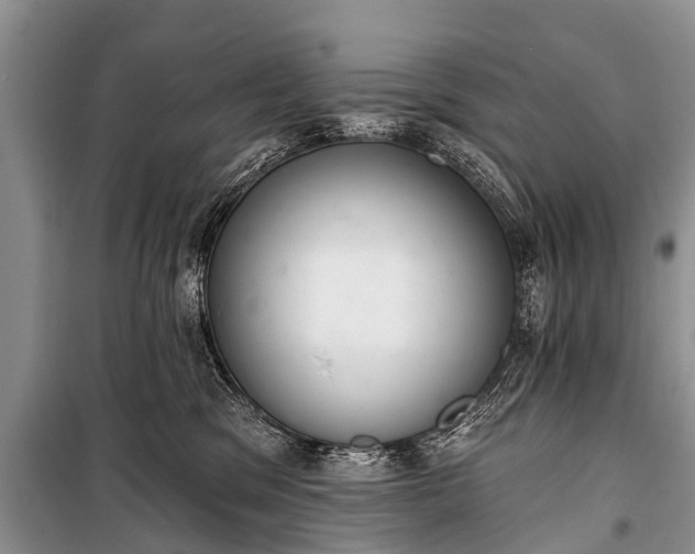 X0000100960329200807011338