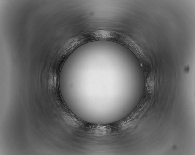 X0000100960330200807011338