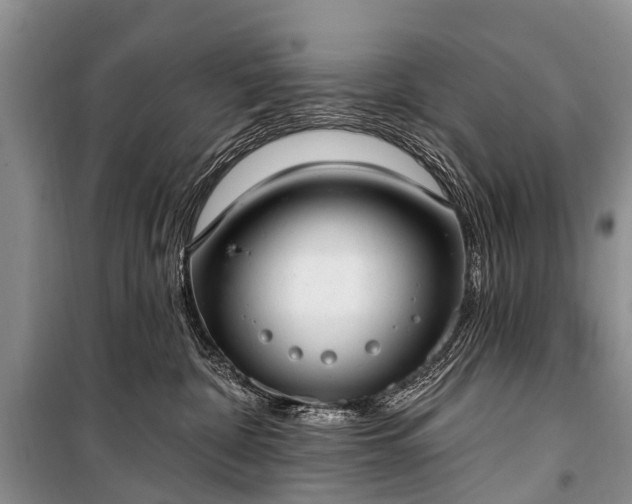 X0000100960332200807011338