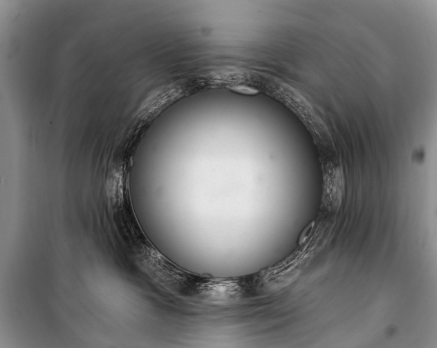 X0000100960333200807011338