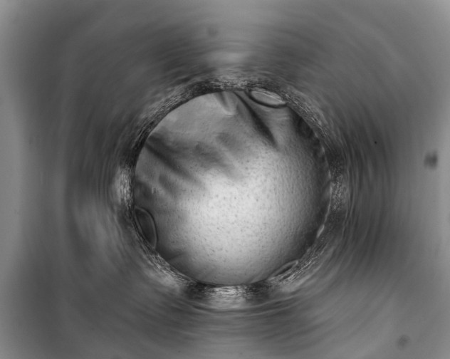 X0000100960335200807011338