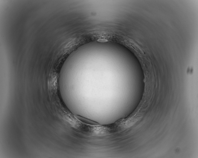 X0000100960336200807011338