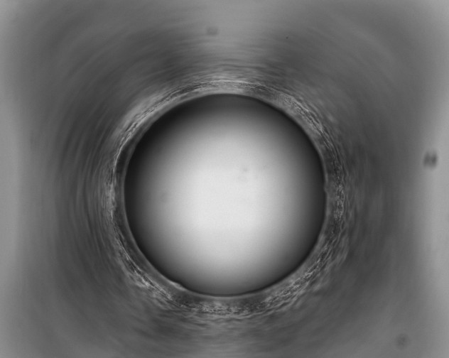 X0000100960338200807011338