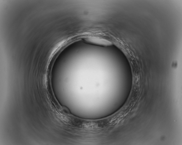 X0000100960340200807011338