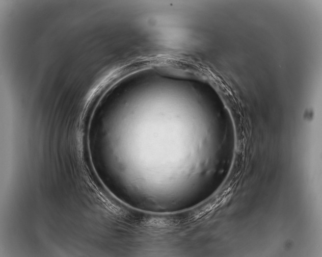 X0000100960341200807011338