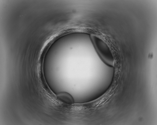 X0000100960342200807011338