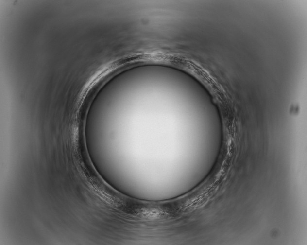 X0000100960344200807011338