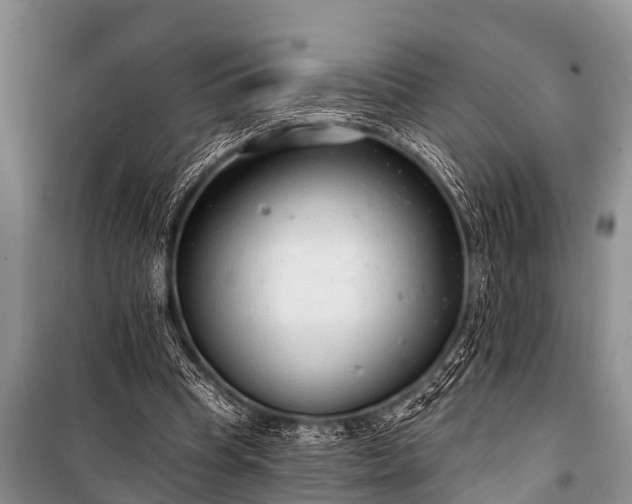 X0000100960345200807011338