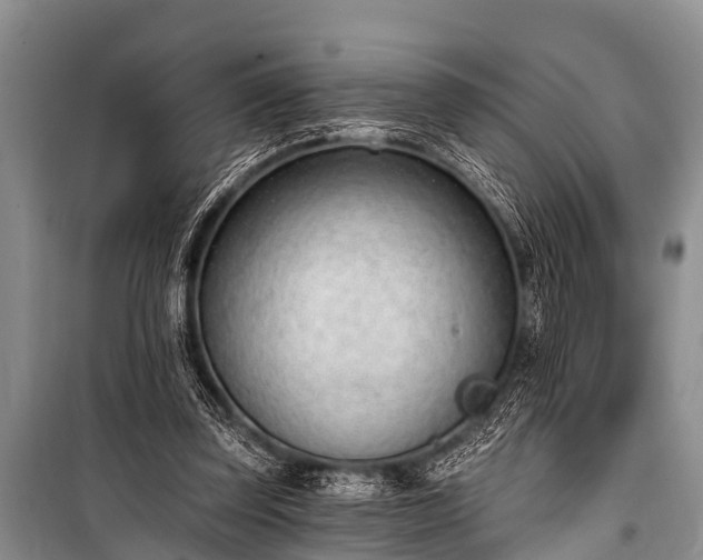 X0000100960347200807011338