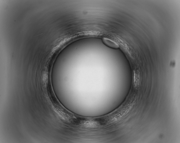 X0000100960348200807011338
