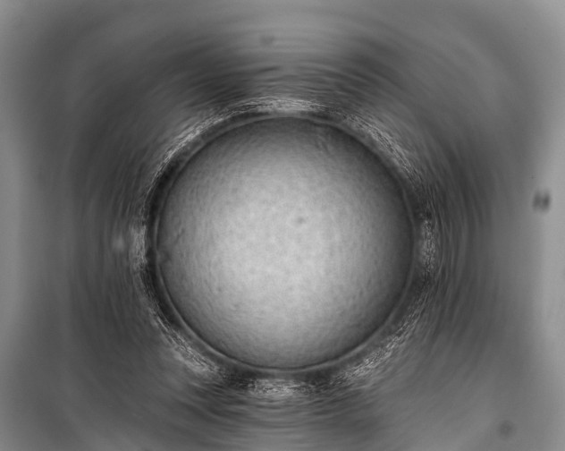 X0000100960351200807011338