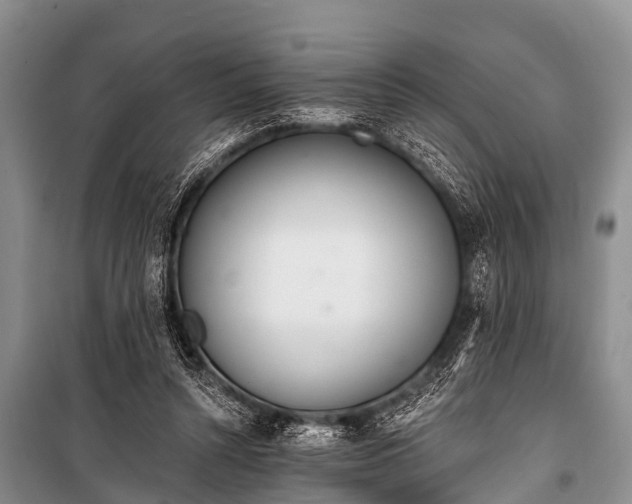 X0000100960352200807011338