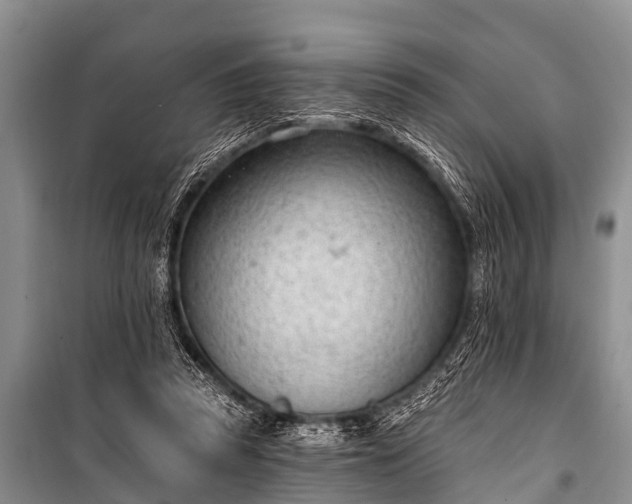 X0000100960353200807011338