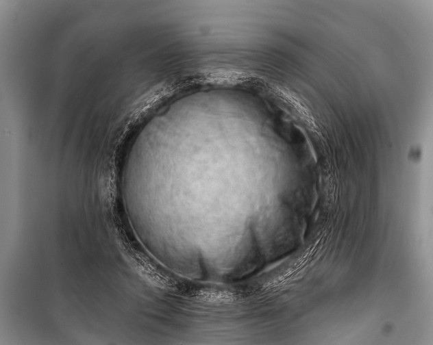 X0000100960354200807011338