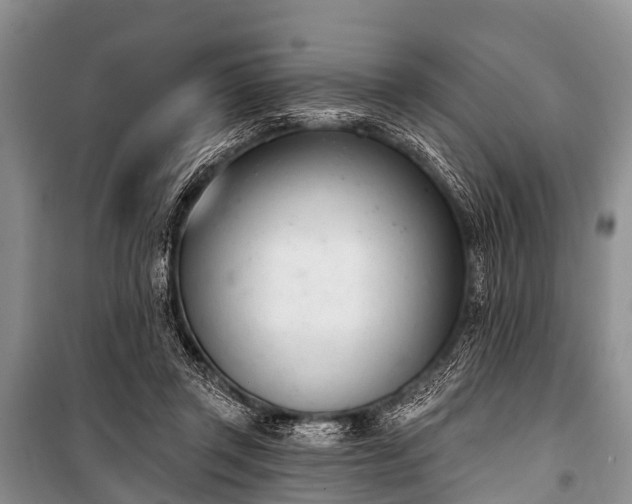 X0000100960357200807011338