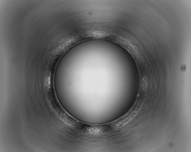 X0000100960358200807011338