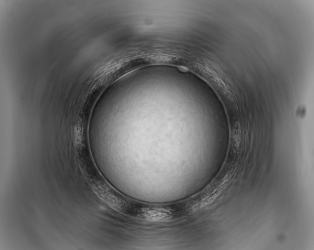 X0000100960359200807011338