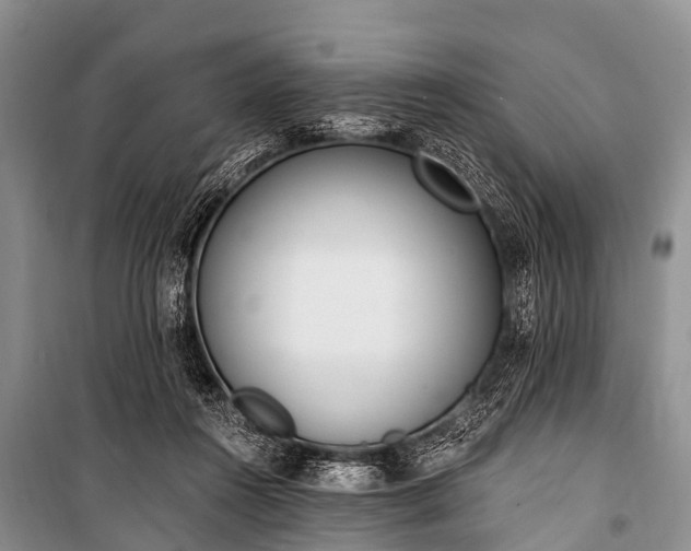 X0000100960360200807011338