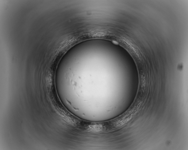 X0000100960362200807011338