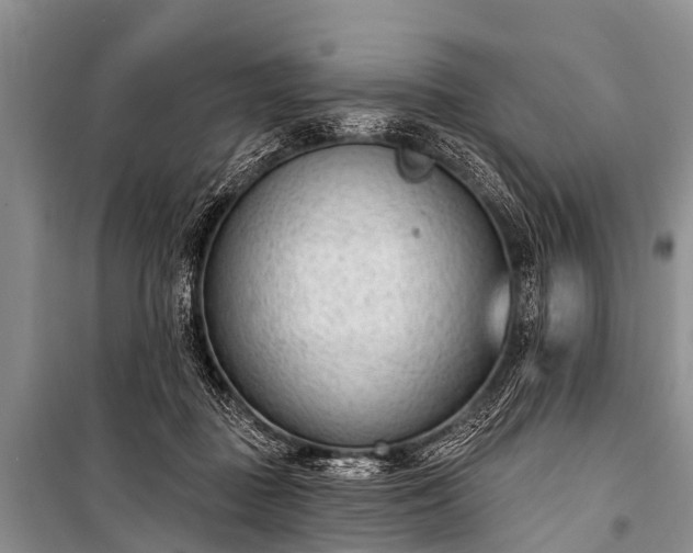 X0000100960363200807011338