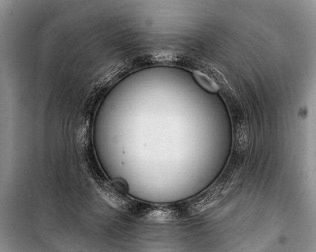 X0000100960364200807011338