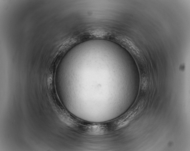X0000100960365200807011338