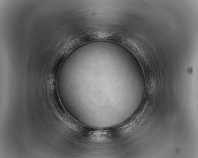 X0000100960366200807011338