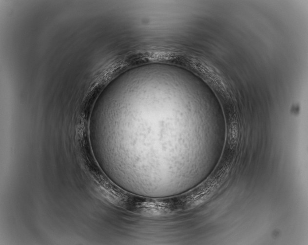 X0000100960367200807011338