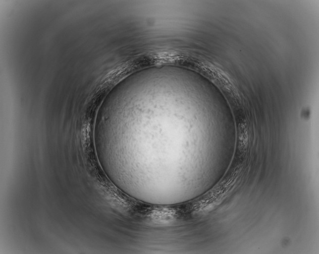 X0000100960369200807011338