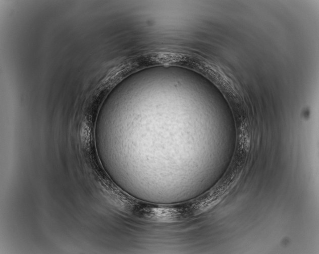 X0000100960371200807011338