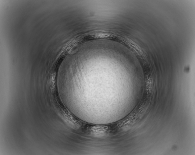 X0000100960373200807011338