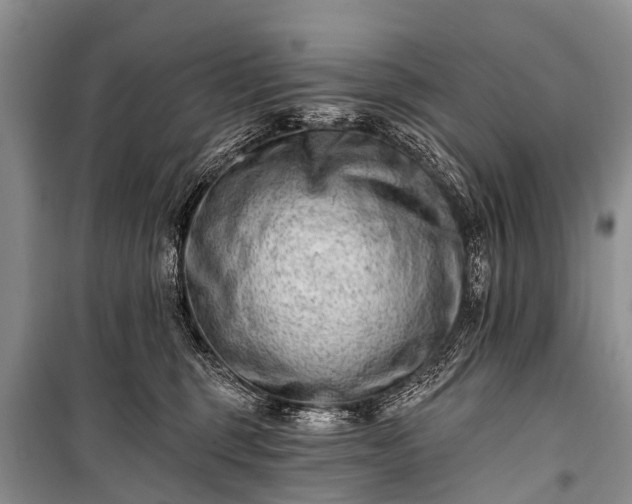 X0000100960375200807011338