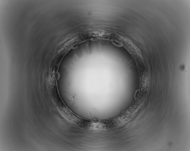 X0000100960376200807011338
