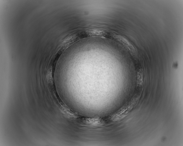 X0000100960377200807011338