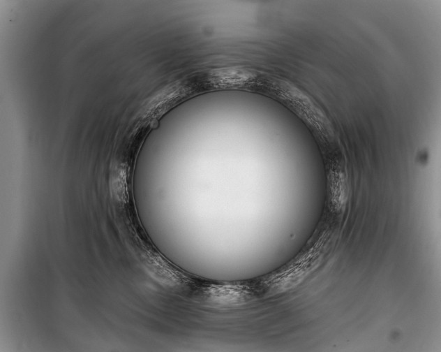 X0000100960378200807011338