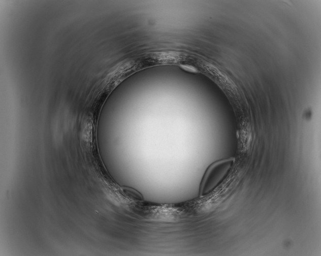 X0000100960379200807011338