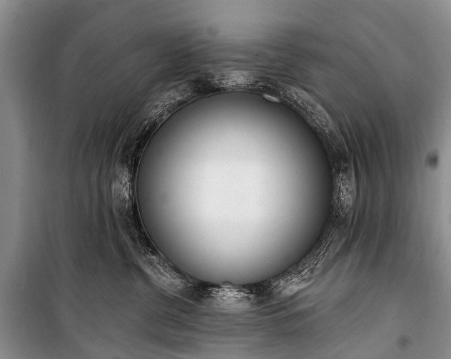 X0000100960380200807011338